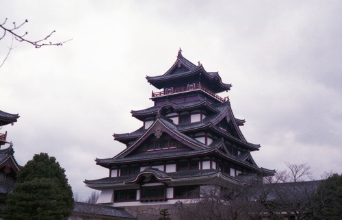 img005.jpg Img005